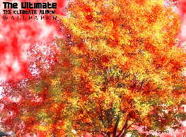 The Ultimate The Ultimate Album Wallpaper 1600_1